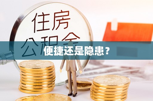 湖口便捷还是隐患？