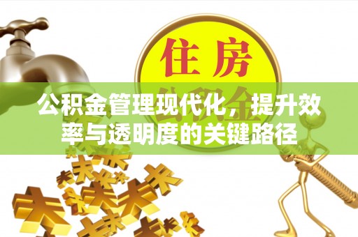 湖口公积金管理现代化，提升效率与透明度的关键路径