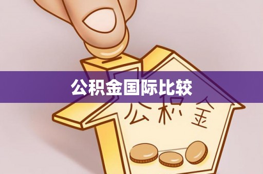 湖口公积金国际比较