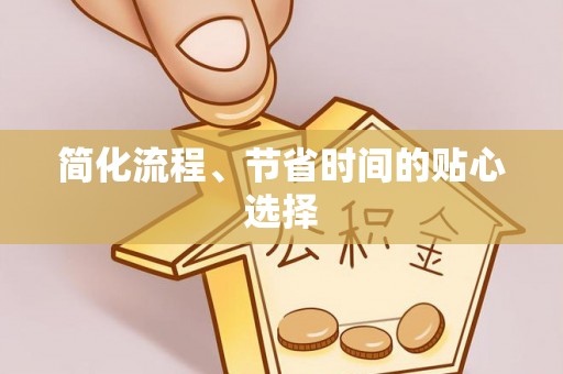 湖口简化流程、节省时间的贴心选择