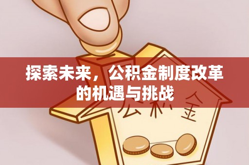 湖口探索未来，公积金制度改革的机遇与挑战