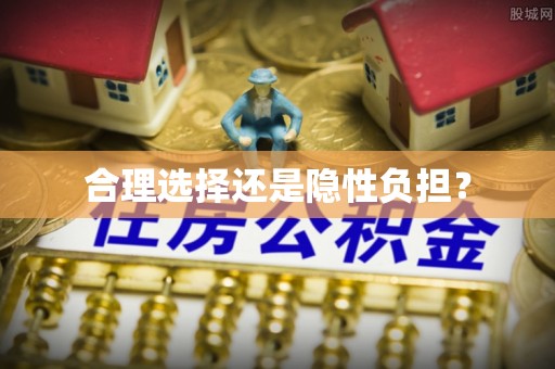 湖口合理选择还是隐性负担？
