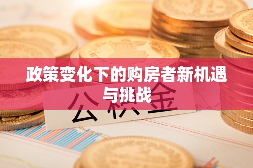 湖口政策变化下的购房者新机遇与挑战