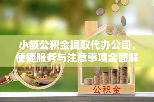 湖口小额公积金提取代办公司，便捷服务与注意事项全面解析