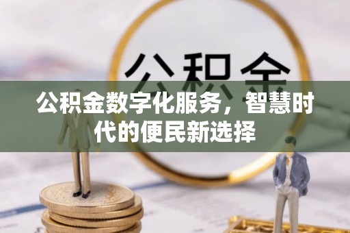 湖口公积金数字化服务，智慧时代的便民新选择