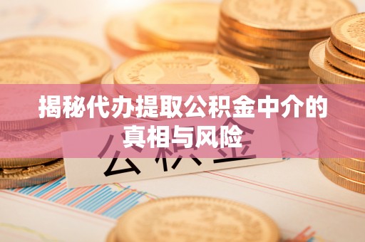 湖口揭秘代办提取公积金中介的真相与风险