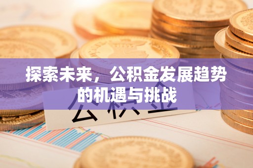湖口探索未来，公积金发展趋势的机遇与挑战