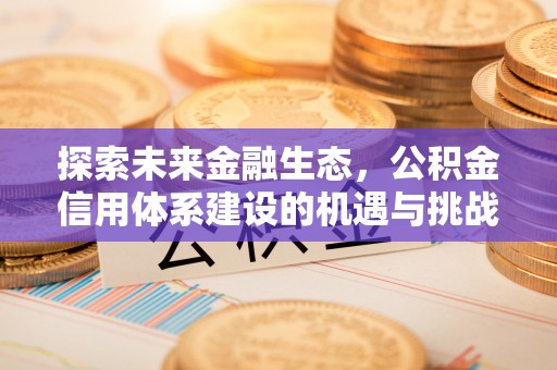 湖口探索未来金融生态，公积金信用体系建设的机遇与挑战