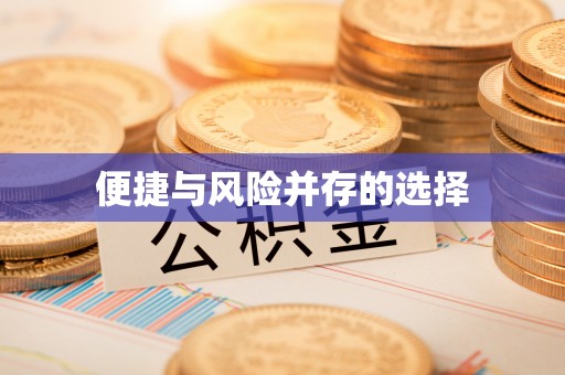 湖口便捷与风险并存的选择