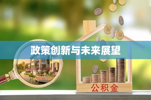 湖口政策创新与未来展望