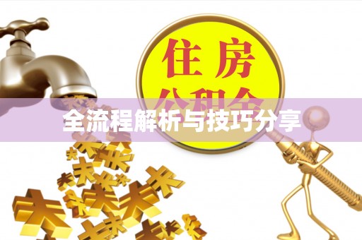 湖口全流程解析与技巧分享