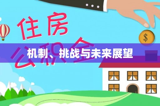 湖口机制、挑战与未来展望