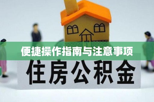 湖口便捷操作指南与注意事项